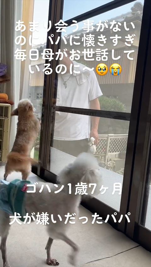 窓につかまり立ち