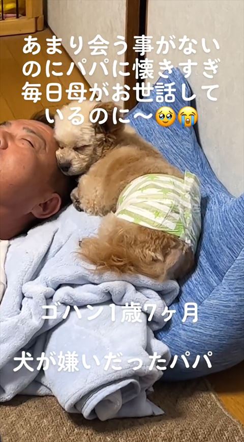 パパさんと一緒に寝てる