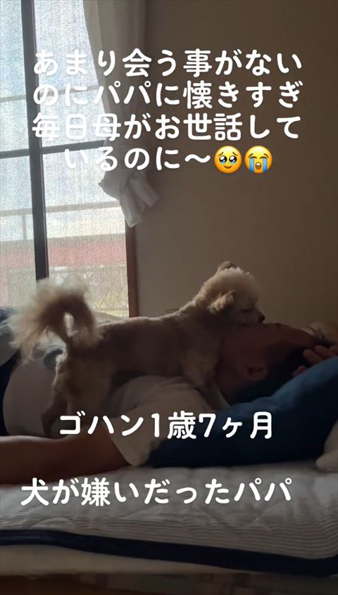 寝てるパパさんを起こすワンコ