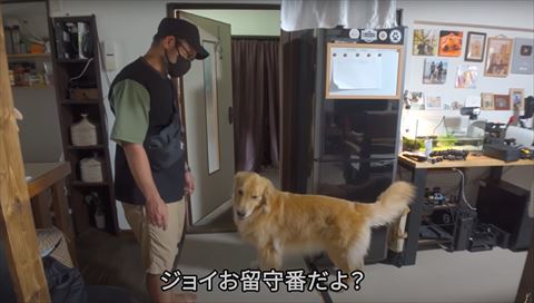 ゴールデン初対面