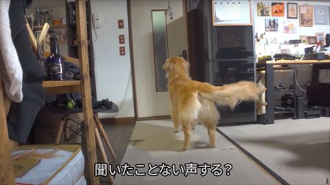 ドアの前の後ろ姿