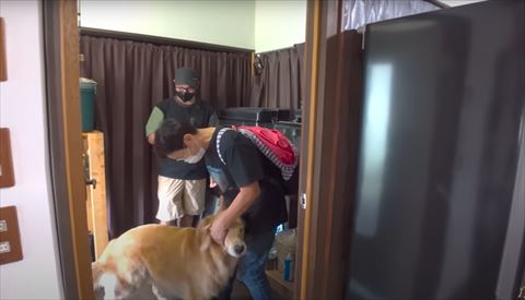 おばああちゃんにすり寄るゴールデンレトリバー