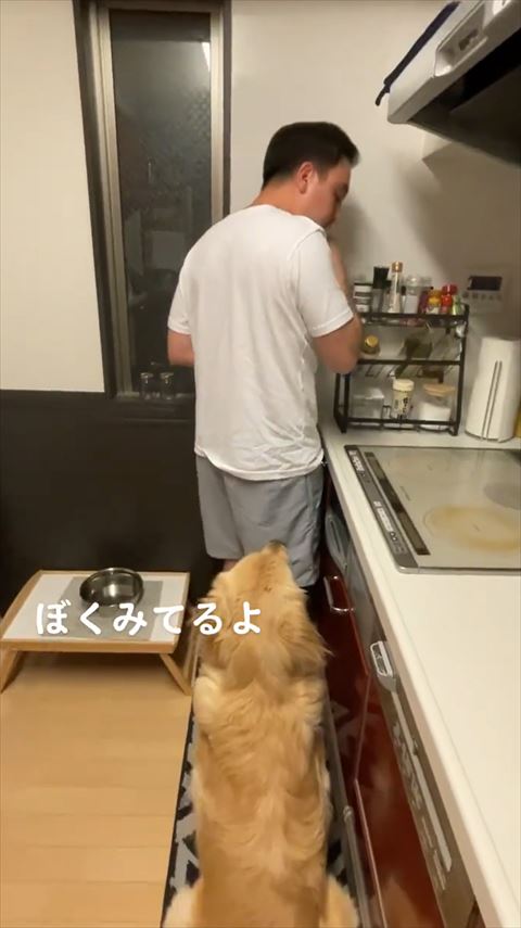 ピュアなワンコ