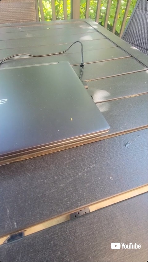 PCの上で踊る虫