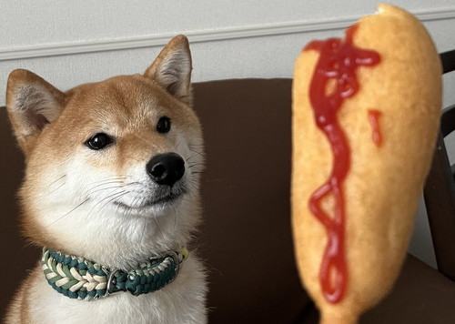 ホットドッグと犬