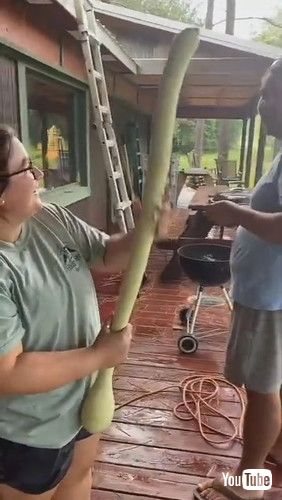 「Massive Zucchini Surprises Sibling || ViralHog」