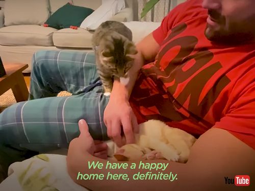  お世話をしてくれたスタッフの肩に乗る子猫