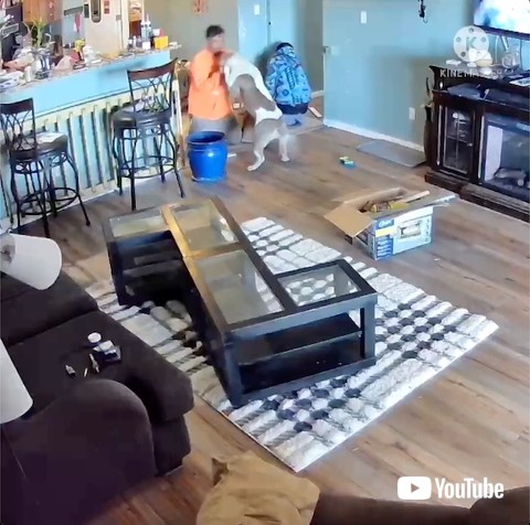 修理業者と遊ぶ犬