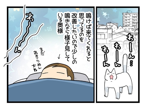 猫漫画