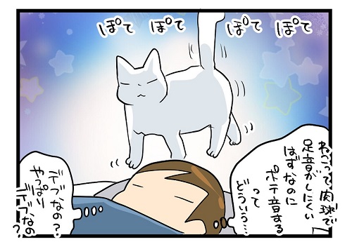 面白い猫漫画