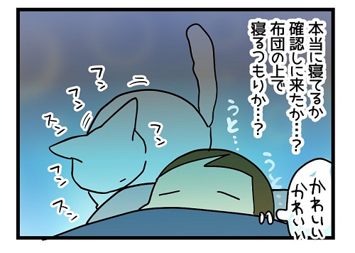 かわいい猫漫画