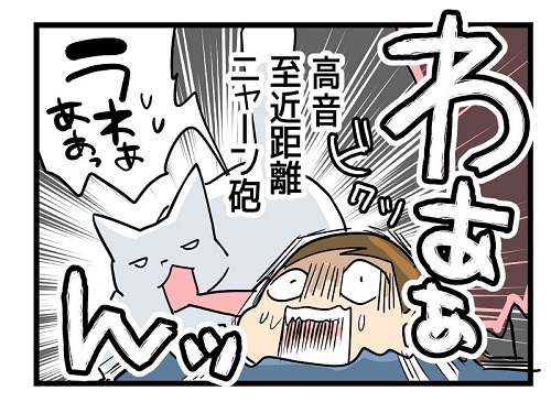 猫漫画の全話