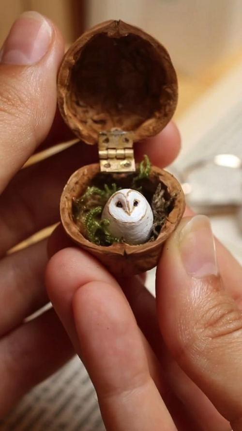 クルミの中の小さな動物