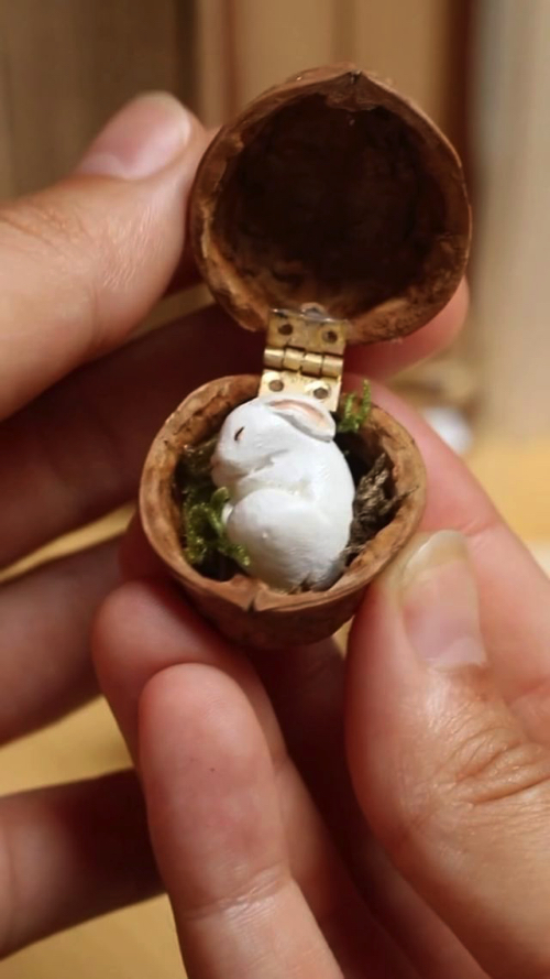 クルミの中の小さな動物