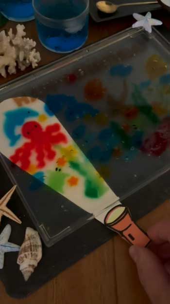 テリーヌ 懐中電灯 照らす 夜の水族館 ゼリー 仕掛け ギミック デザート