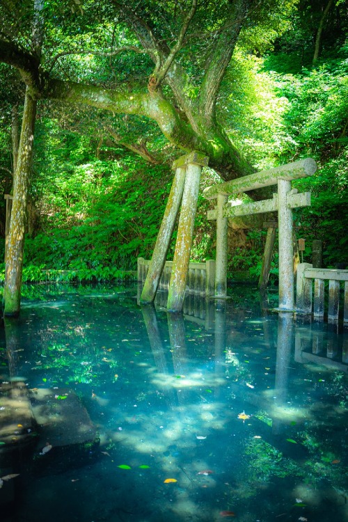 茨城県の有名なパワースポット