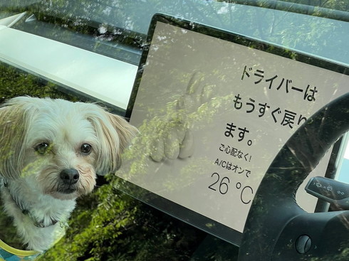 テスラのドッグモード