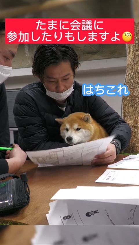 会議中に抱っこされてる