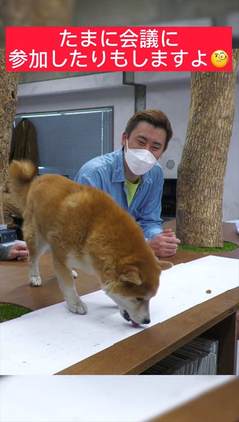 おやつ食べるわんこ