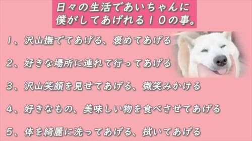 してあげられる10のこと