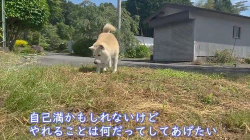 歩くあいちゃん