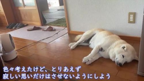 寝るあいちゃん