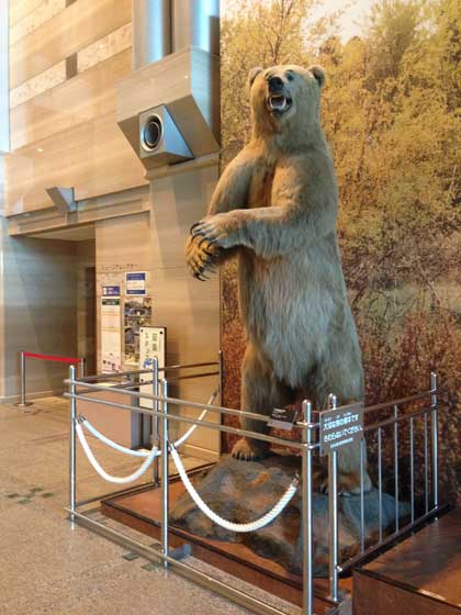 神奈川県立 生命の星 地球博物館 小田原 僻地 貸し切り