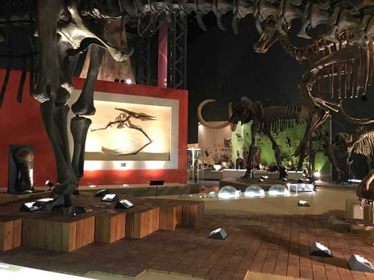 神奈川県立 生命の星 地球博物館 小田原 僻地 貸し切り