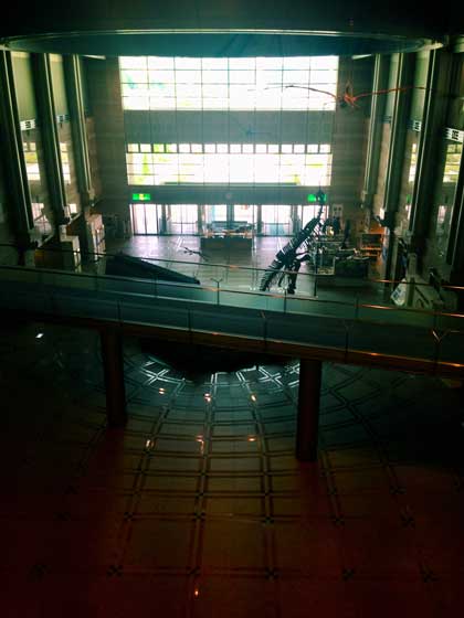 神奈川県立 生命の星 地球博物館 小田原 僻地 貸し切り