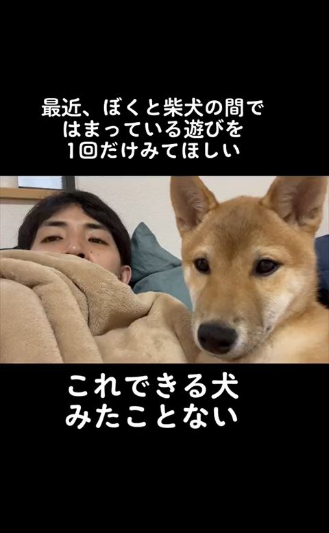 正面向いてる飼い主と柴犬