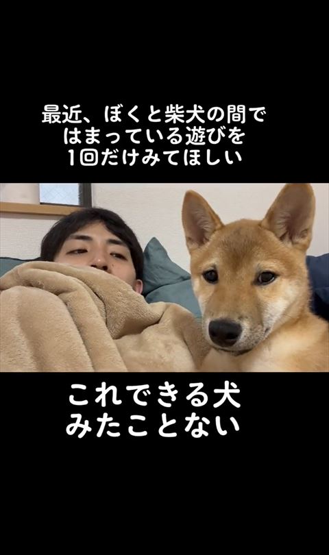 もんちくんを見る飼い主さん