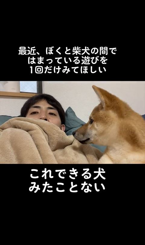 正面向く飼い主さんを見るもんちくん