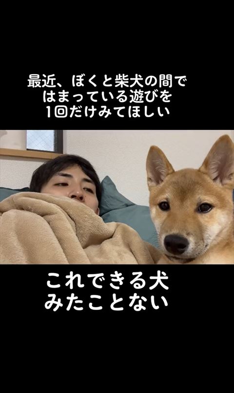 顔と視線をもんちくんに向ける飼い主さん