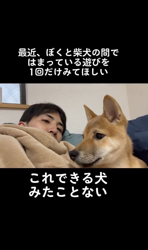 のぞこきむように柴犬を見る飼い主さん