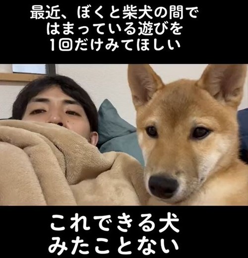 正面向いてる飼い主と柴犬