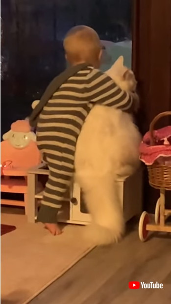 猫に抱きつく赤ちゃん