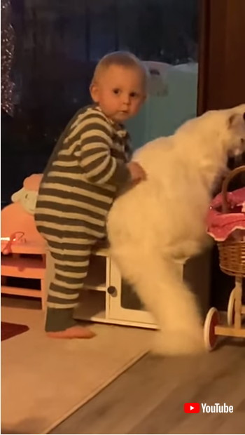 こっちを見る赤ちゃんと猫