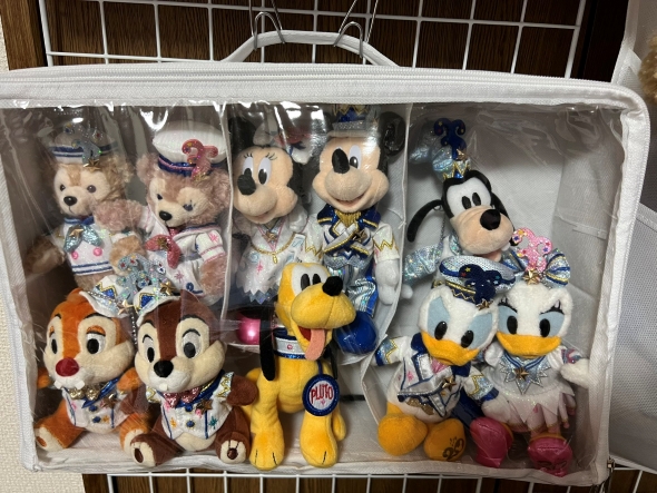 ディズニーのぬいぐるみバッジを3COINSの「透明フタ付18小分けBOX」に収納した画像