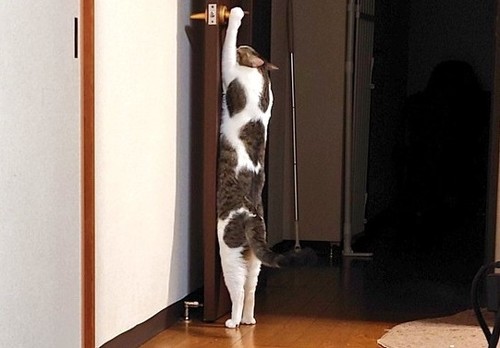 「その操作は覚えなくて良いんだよ」