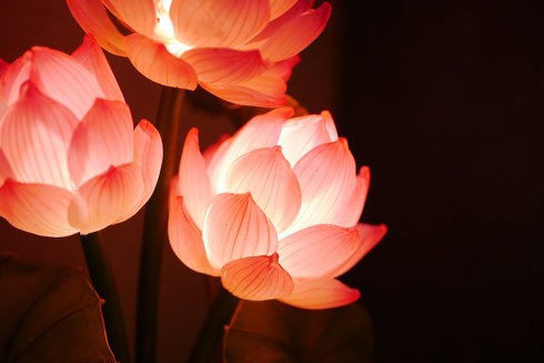 プラバンお花ランプ