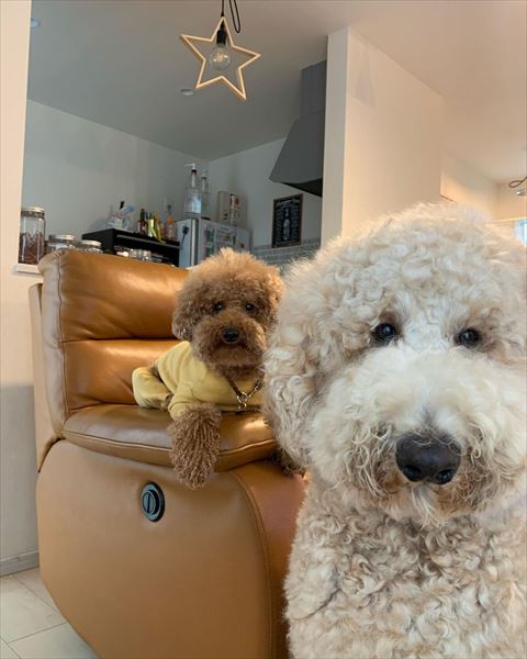 カメラ目線の2匹