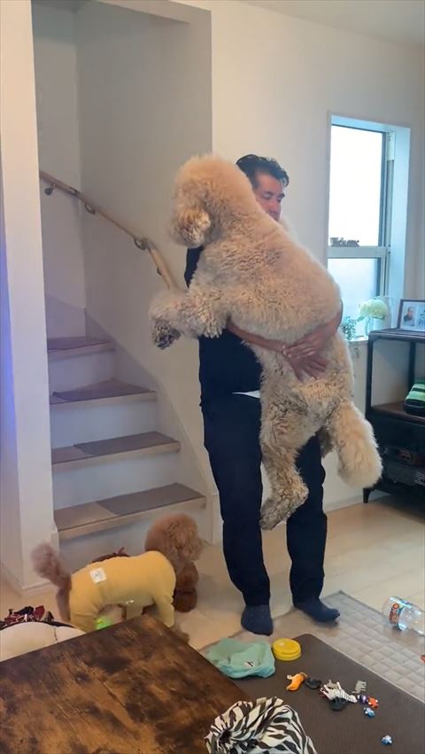 階段の前で抱っこ