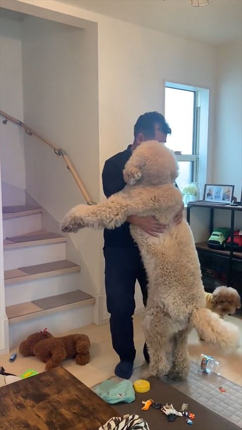 後ろ足が床についたワンコ