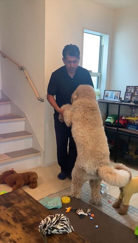 前足を持ってるパパさん