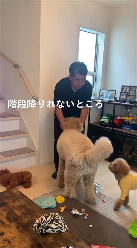 首をもふられてるワンコ