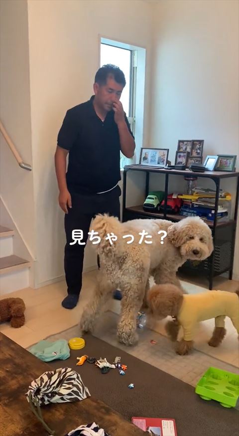 カメラを見るラウルくん」