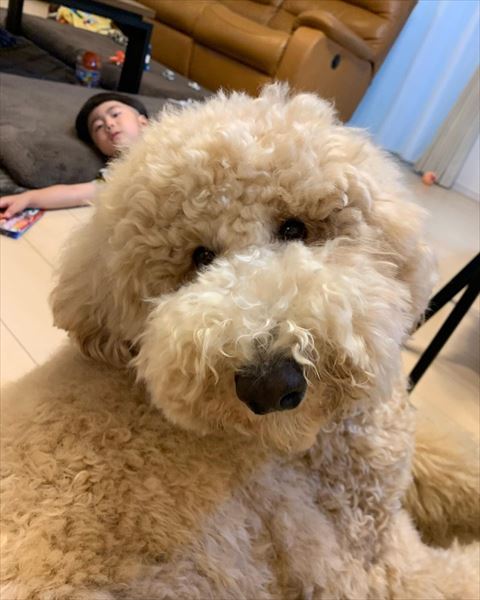 ラウルくんアップ