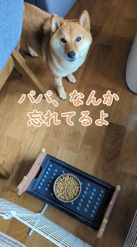 なんか忘れてるよテロップ