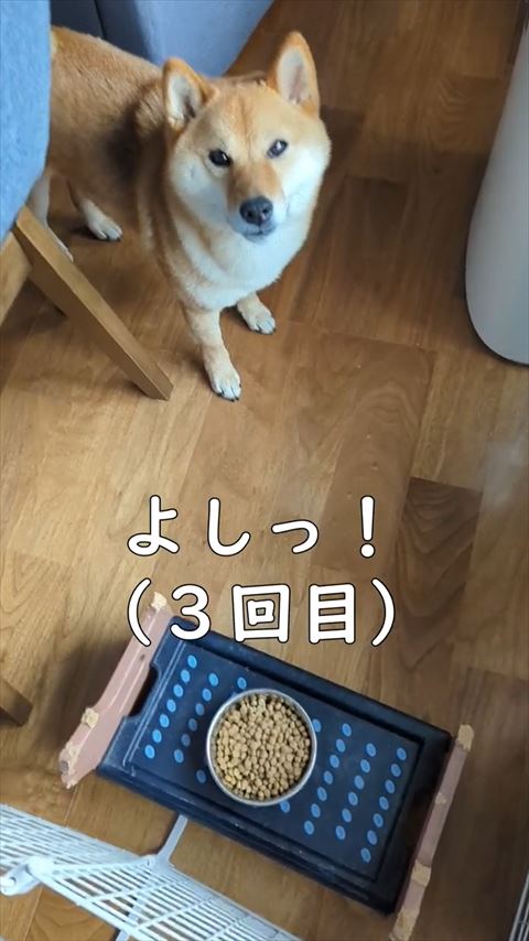 よし3回目