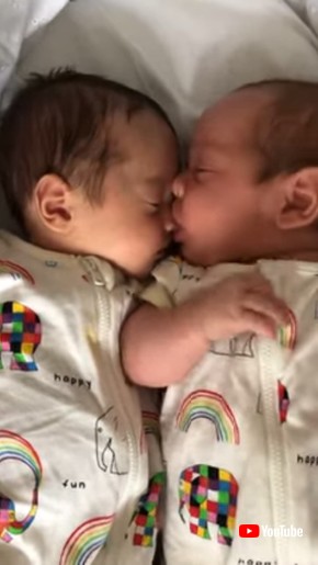 Twin Brother Goes for the Nose || ViralHog